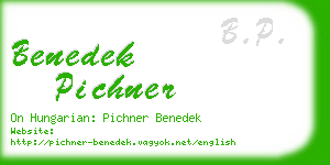 benedek pichner business card